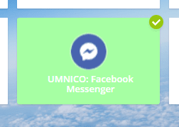 Connecting Umnico & Facebook - Step 3