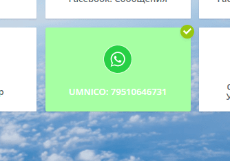 Connecting Umnico & WhatsApp - Step 3