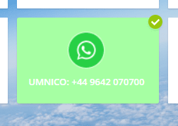 Connecting Umnico & WhatsApp - Step 3