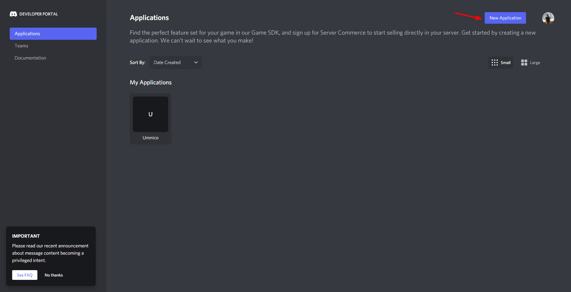 Creating a new application in Discord DP